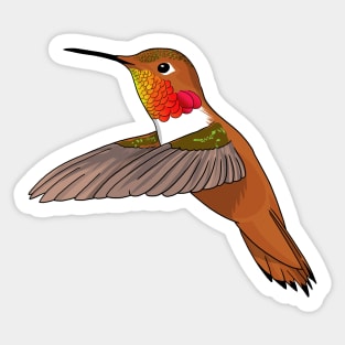 Rufous Hummingbird Sticker